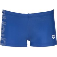 arena Jungen Badeshorts Logo