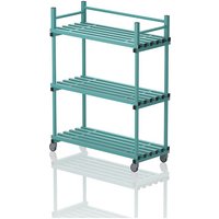 Sport-Thieme Regalwagen "Maxi" by Vendiplas