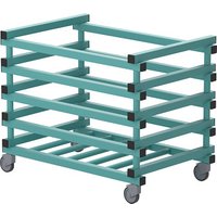 Sport-Thieme Transportwagen by Vendiplas