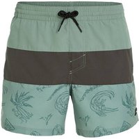 O'NEILL Badehose MIX & MATCH CALI BLOCK 15'' SWIM SHORTS